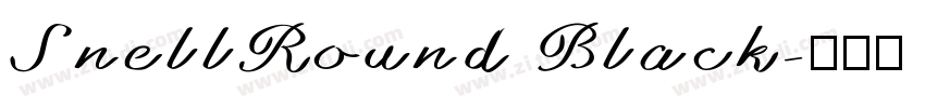 SnellRound Black字体转换